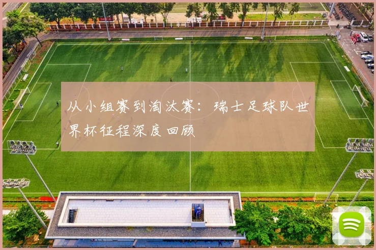从小组赛到淘汰赛：瑞士足球队世界杯征程深度回顾