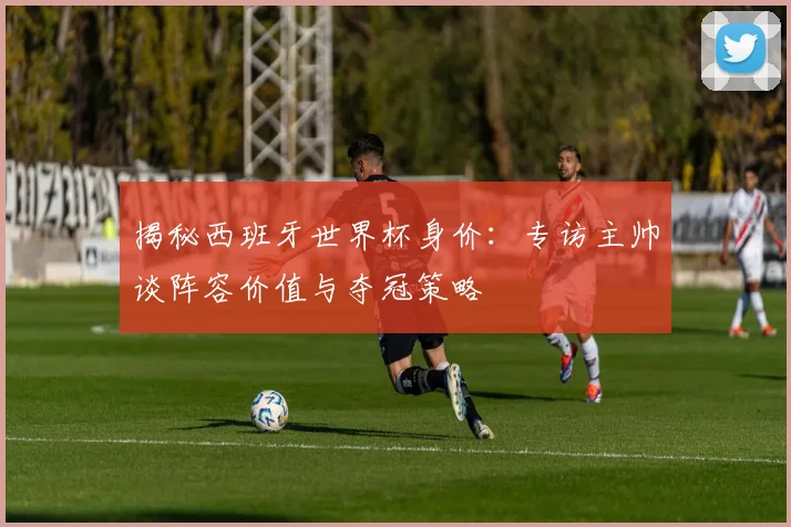 揭秘西班牙世界杯身价:专访主帅谈阵容价值与夺冠策略