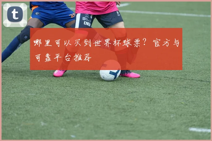 哪里可以买到世界杯球票？官方与可靠平台推荐