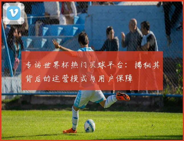 专访世界杯热门买球平台：揭秘其背后的运营模式与用户保障
