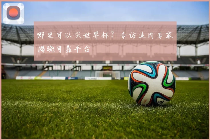 哪里可以买世界杯？专访业内专家揭晓可靠平台