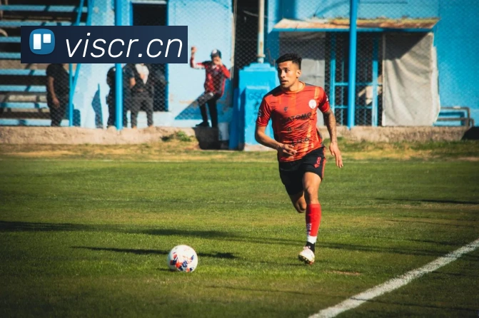 leyu乐鱼在线登录入口平台生态图