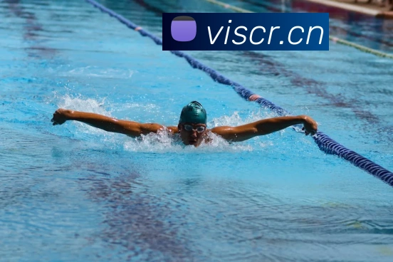 leyu乐鱼在线登录入口APP 封面图