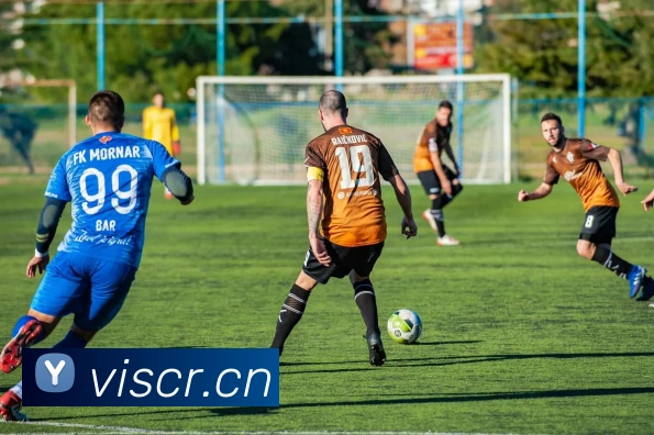 数据防护可视化